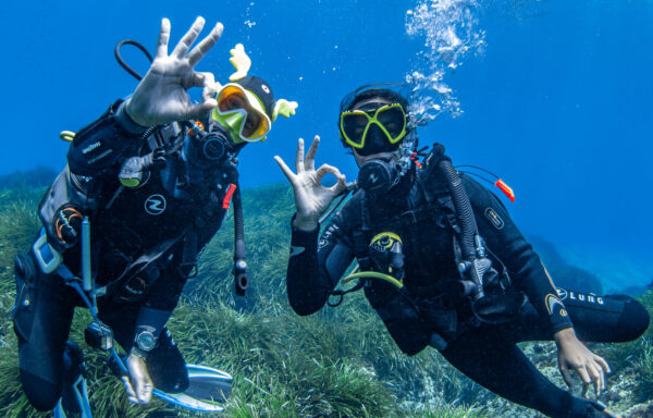 Inmersión Refresh Scuba Diver en San José