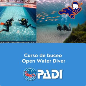 curso owd 300x300 - Curso Padi Open Water en San José