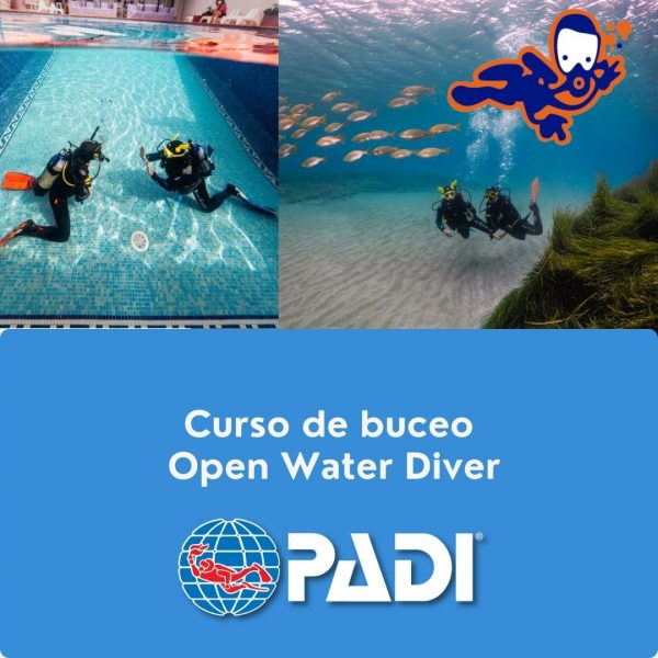 curso owd 600x600 - Curso Padi Open Water en San José